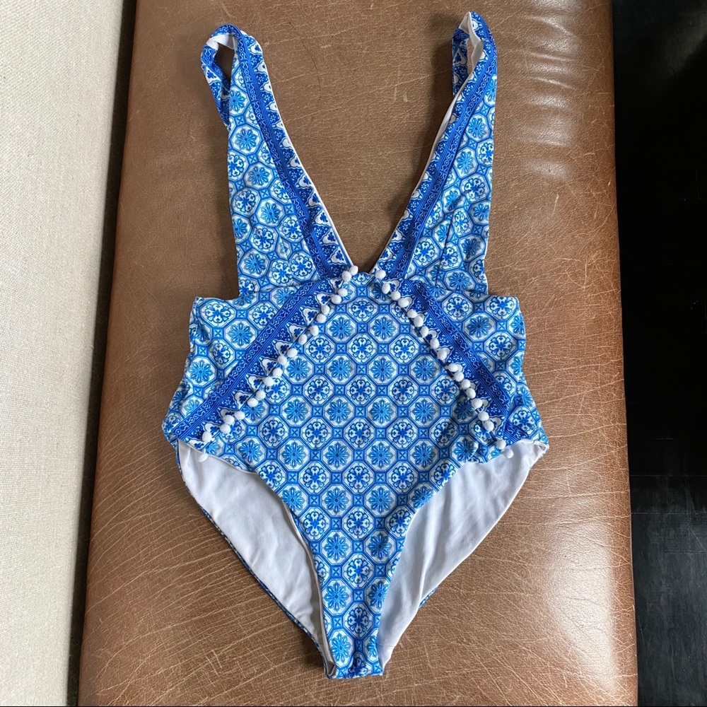 SKYE & Staghorn deep v one piece swimsuit